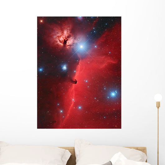 Pferdekopf-nebel Wall Decal