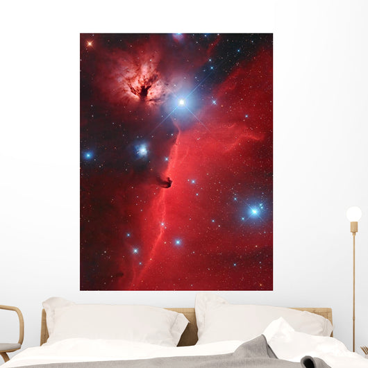 Pferdekopf-nebel Wall Decal