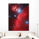 Pferdekopf-nebel Wall Decal