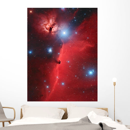 Pferdekopf-nebel Wall Decal