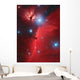 Pferdekopf-nebel Wall Decal
