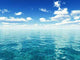 Fresh Summer Wall Decal