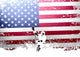 USA Flag Lacrosse Wall Decal