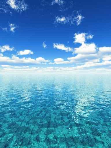 Fresh Summer Day Wall Decal