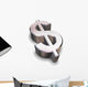 3D Chrome Dollar Symbol Wall Decal