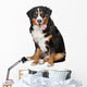 Bernese Mountain Dog Wall Decal