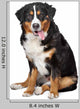 Bernese Mountain Dog Wall Decal