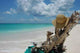 Chapeau Paille La Plage Wall Decal