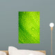 Green Leaf with Drops Wall Decal