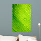 Green Leaf with Drops Wall Decal