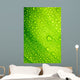 Green Leaf with Drops Wall Decal