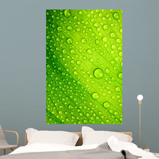 Green Leaf with Drops Wall Decal