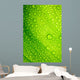 Green Leaf with Drops Wall Decal