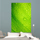 Green Leaf with Drops Wall Decal