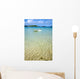 White Boat Floating Clear Wall Decal