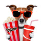 Dog Watching Movie Wall Decal