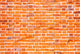 Old Brick Wall Wall Decal