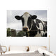 Cow Wall Mural