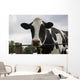 Cow Wall Mural