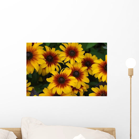Fall Color with Rudbeckia Wall Decal
