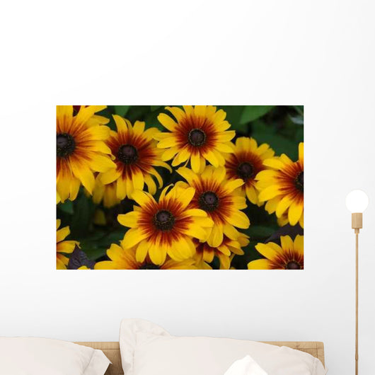 Fall Color with Rudbeckia Wall Decal