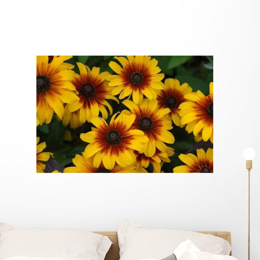 Fall Color with Rudbeckia Wall Decal