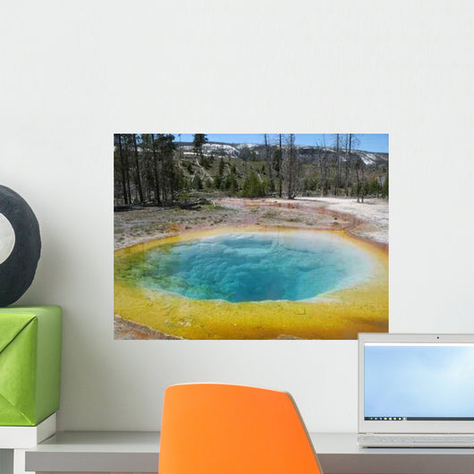 Morning Glory Pool Wall Decal