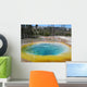 Morning Glory Pool Wall Decal