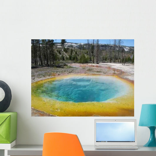Morning Glory Pool Wall Decal