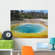 Morning Glory Pool Wall Decal
