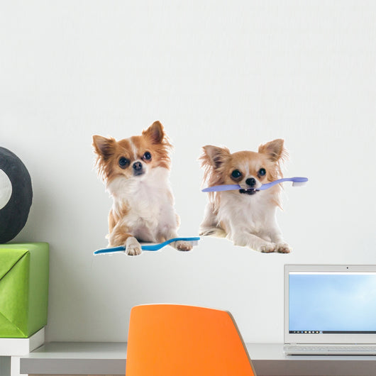 Chihuahuas and Toothbrush Wall Decal