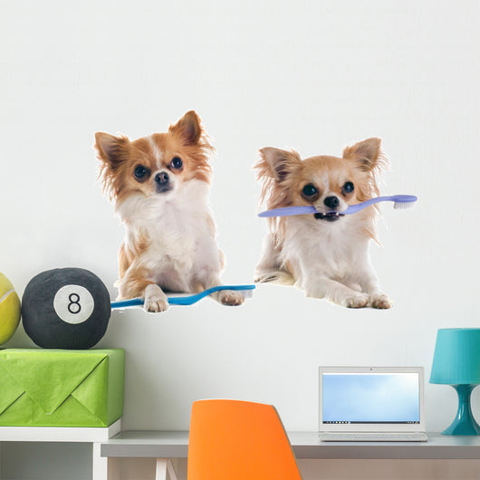 Chihuahuas and Toothbrush Wall Decal