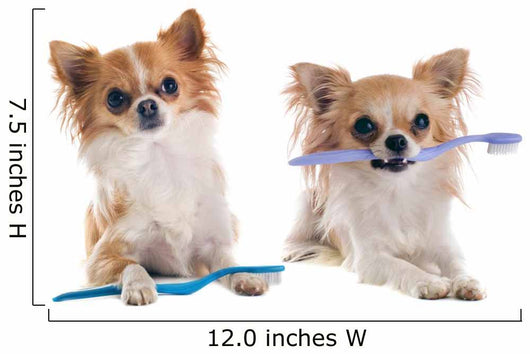 Chihuahuas and Toothbrush Wall Decal