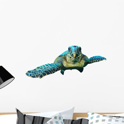 Hawksbill Sea Turtle Swimming Towards You Wall Decal shown on a wall