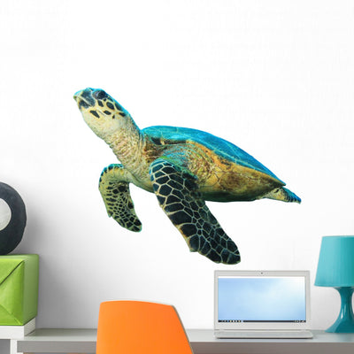 Hawksbill Sea Turtle Wall Decal shown on a wall
