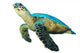 Hawksbill Sea Turtle Wall Decal