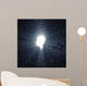 Female Head Silhouette Wall Decal