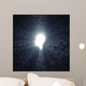 Female Head Silhouette Wall Decal