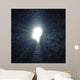 Female Head Silhouette Wall Decal