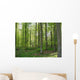 European Woods Wall Decal