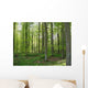 European Woods Wall Decal