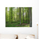 European Woods Wall Decal
