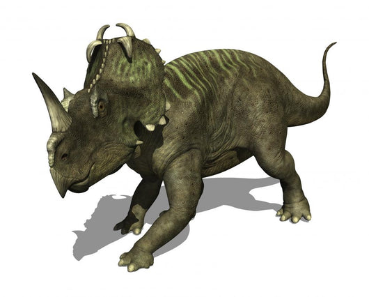 Dinosaur Centrosaurus