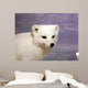 Arctic Fox Wall Decal