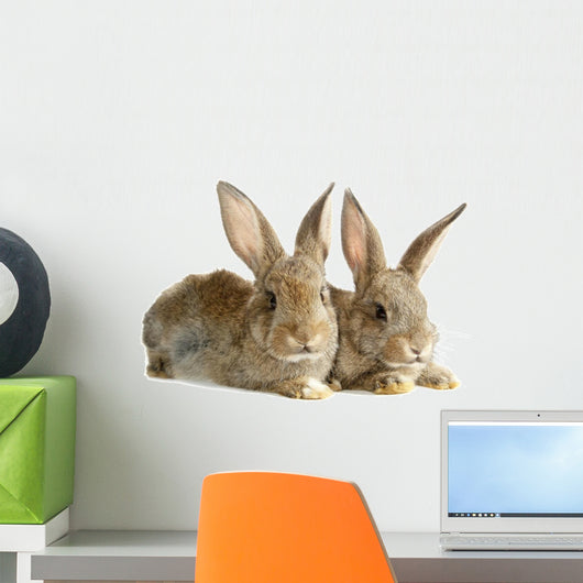 Two Rabbits Bunnies Isolated on White Wall Decal