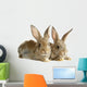 Two Rabbits Bunnies Isolated on White Wall Decal