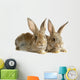 Two Rabbits Bunnies Isolated on White Wall Decal