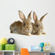 Two Rabbits Bunnies Isolated on White Wall Decal
