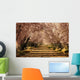 Prunos En Flor Wall Decal