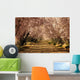 Prunos En Flor Wall Decal